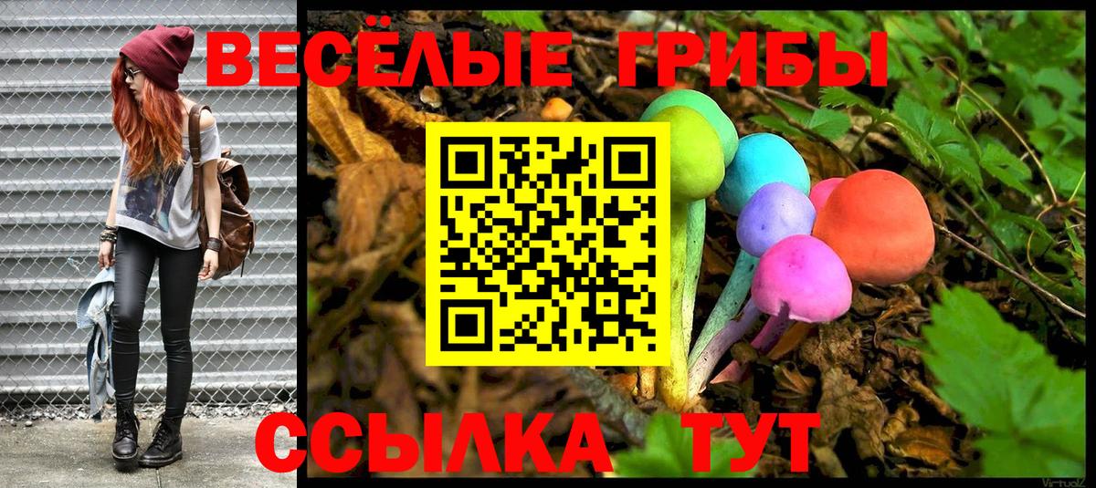 где продают наркотики  Вход с VPN  Санкт-Петербург  Псилоцибиновые грибы мухоморы 